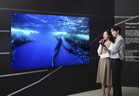 Neo QLED 8K로 감상하는 국내 최초 8K ‘고래의 삶’… 삼성 Neo QLED 8K로 경이로운 고래의 세계 만난다